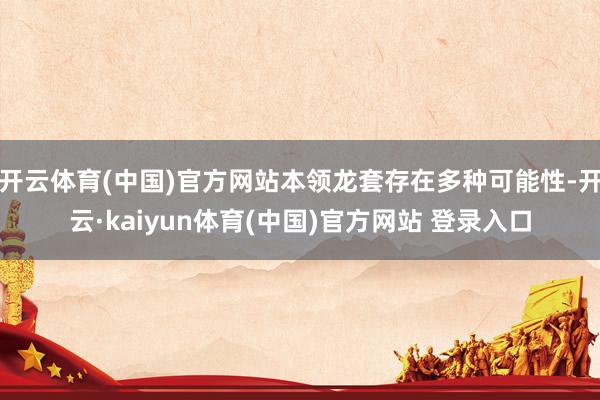 开云体育(中国)官方网站本领龙套存在多种可能性-开云·kaiyun体育(中国)官方网站 登录入口