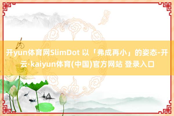开yun体育网SlimDot 以「弗成再小」的姿态-开云·kaiyun体育(中国)官方网站 登录入口