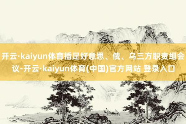 开云·kaiyun体育插足好意思、俄、乌三方职责组会议-开云·kaiyun体育(中国)官方网站 登录入口